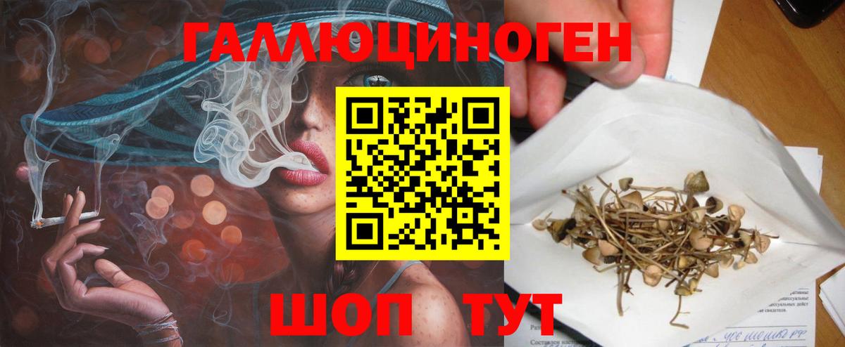 где можно купить   Вход с VPN  Вязьма  Псилоцибиновые грибы Psilocybine cubensis 
